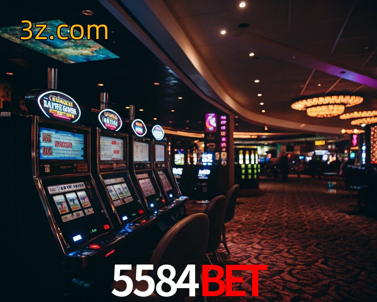 5584bet login